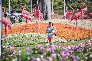 BIB: 
                            <button type="button" onclick="openModal(27794078)" class="btn btn-primary btn-sm float-right btn-popup" data-toggle="modal" data-target=".modal-high-quality">
                        <i class="fas fa-shopping-cart"></i> Add to Cart
                    </button>
                                            <button type="button" onclick="isThisMe(27794078, true)" class="btn btn-success btn-sm float-right btn-popup btn-isme hidden" data-toggle="tooltip" data-placement="bottom" title="นี่คือรูปของคุณใช่ไหม คลิกที่นี่เพื่อเอาเข้าอัลบั้ม">
                        <i class="fas fa-plus"></i> Add to album
                    </button>
                    <button type="button" onclick="isThisMe(27794078, false)" class="btn btn-warning btn-sm float-right btn-popup btn-isnotme hidden">
                        <i class="fas fa-ban"></i> Remove from album
                    </button>